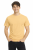 T-shirt męski z krótkim rękawem gramatura 190g pisakowy.png